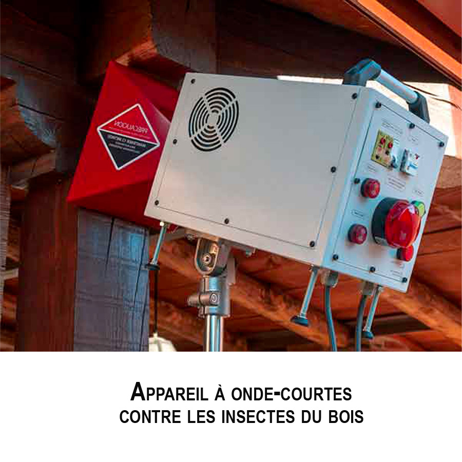 Traitement des bois par micro-ondes contre les termites de bois sec