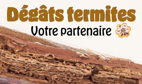 protection contre les dégâts termites - La Réunion - Laboratoire Sublimm