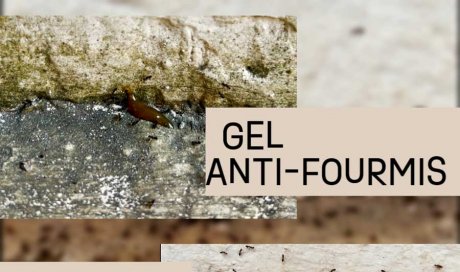 Anti fourmis - Gel professionnel - Laboratoire Sublimm 974