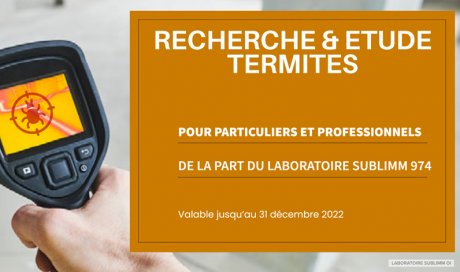 Comment rechercher les termites - La Réunion - Laboratoire Sublimm 974