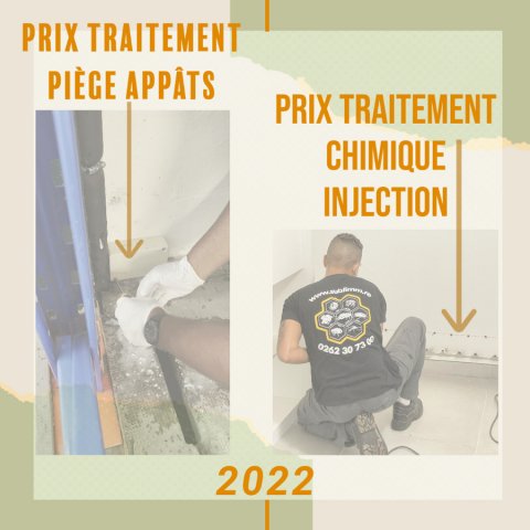 Prix traitement termite - La Réunion - Laboratoire Sublimm