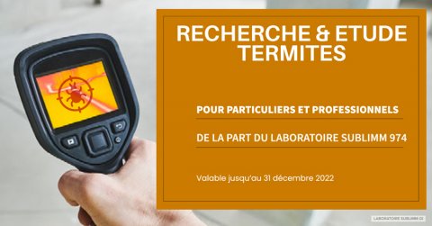 Comment rechercher les termites - La Réunion - Laboratoire Sublimm 974