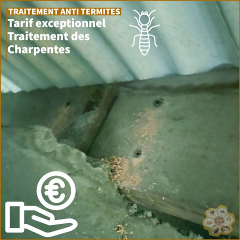 Tarif exceptionnel pour le traitement anti-termite de charpente Saint-Denis 974