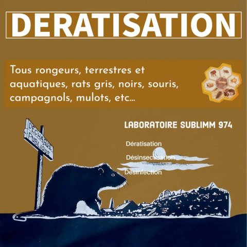 Tarif dératisation - Saint Pierre 974 - Laboratoire Sublimm