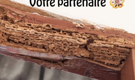 protection contre les dégâts termites - La Réunion - Laboratoire Sublimm