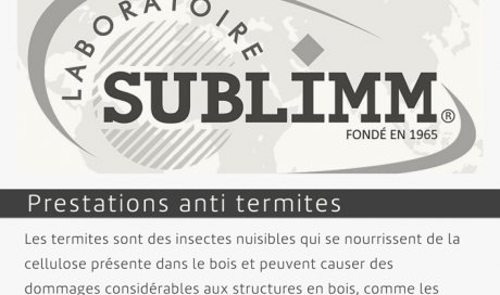 Anti termites | votre professionnel antiparasitaire | Laboratoire Sublimm 974