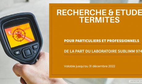 Comment rechercher les termites - La Réunion - Laboratoire Sublimm 974