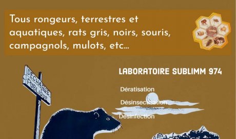 Tarif dératisation - Saint Pierre 974 - Laboratoire Sublimm