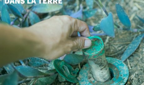 Pose d'un piège à termite - La Réunion - Laboratoire Sublimm