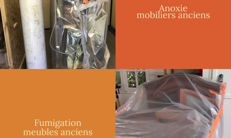 Fumigation et anoxie de meubles mobiliers anciens