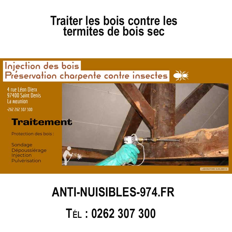 Traitement par injection des bois contre les termites de bois sec